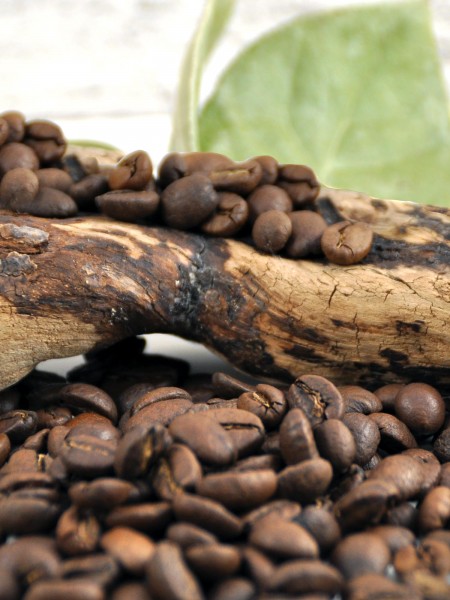 Bio Kaffee Crema ganze Bohnen