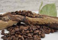 kleines Kaffeewissen und Begrifflichkeiten • Vom Rohkaffee zur Tasse kleines Kaffeewissen und Begrifflichkeiten • Vom Rohkaffee zur Tasse